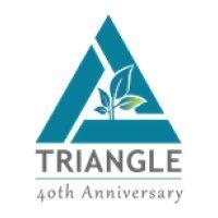 triangle associates, inc. logo image