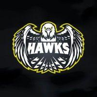 hawks logo image