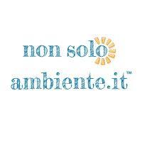 nonsoloambiente.it logo image