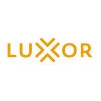 luxor group logo image