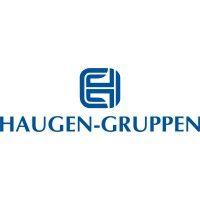 haugen-gruppen as norway logo image