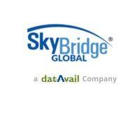 skybridge global logo image