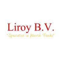 liroy b.v. logo image