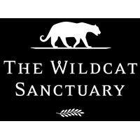 the wildcat sanctuary