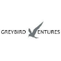 greybird ventures, llc logo image