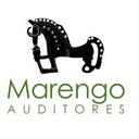 logo of Marengo Auditores