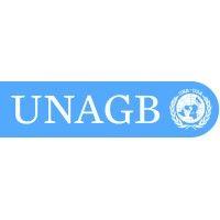 united nations association of greater boston