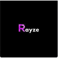 rayze consulting