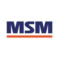 msm group llc logo image