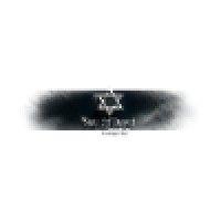 star of david concepts inc. logo image