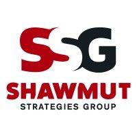 shawmut strategies group logo image