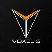 voxelis ai logo image