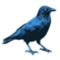 blue raven studios logo image