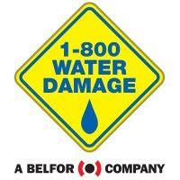 1-800 water damage logo image