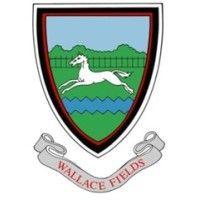 wallace fields infant school logo image