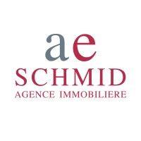 agence immobilière a-e schmid sa logo image