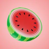 🍉melon logo image