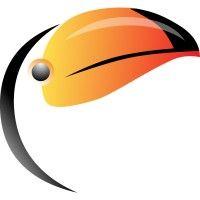 toucan code logo image