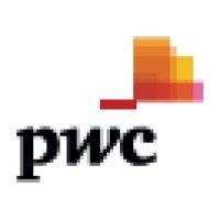 pwc nigeria logo image