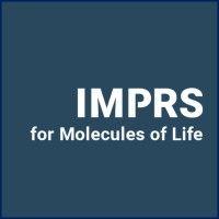 imprs-ml | international max planck research school for molecules of life