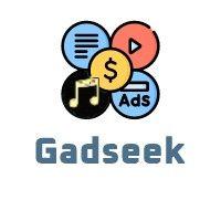 gadseek services, llc