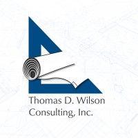 thomas d. wilson consulting, inc. logo image