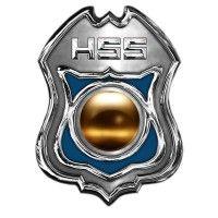 homeland safety systems logo image