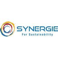 synergie logo image