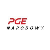 pge narodowy logo image