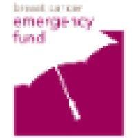 breast cancer emergency fund (bcef) logo image