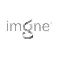 imagine intelligent materials logo image