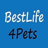 bestlife4pets logo image