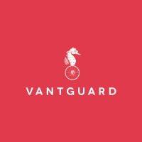 vantguard logo image