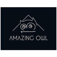 amazing owl logo image