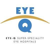 eye-q vision pvt ltd logo image