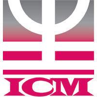 icm consulting