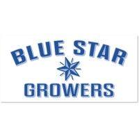 blue star growers inc logo image