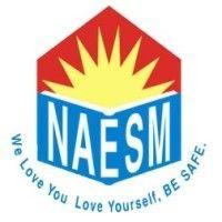 naesm inc logo image