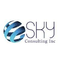 sky consulting inc. logo image