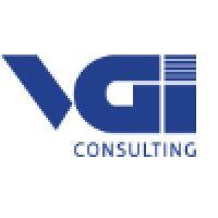 vgi consulting logo image