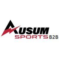 ausum sports logo image