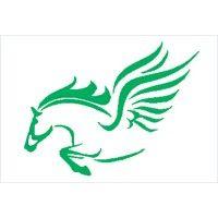 landmark pegasus inc. logo image