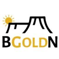 bgoldn logo image