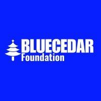 bluecedar foundation for skills and youth empowerment logo image