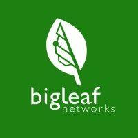 bigleaf networks logo image