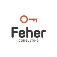 feher consulting