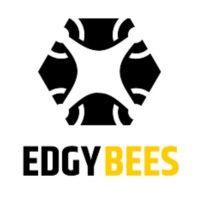 edgybees logo image