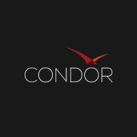 condor partners