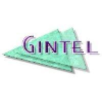 gintel logo image