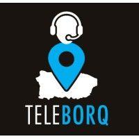 teleborq logo image